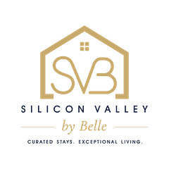 Silicon Valley by Belle